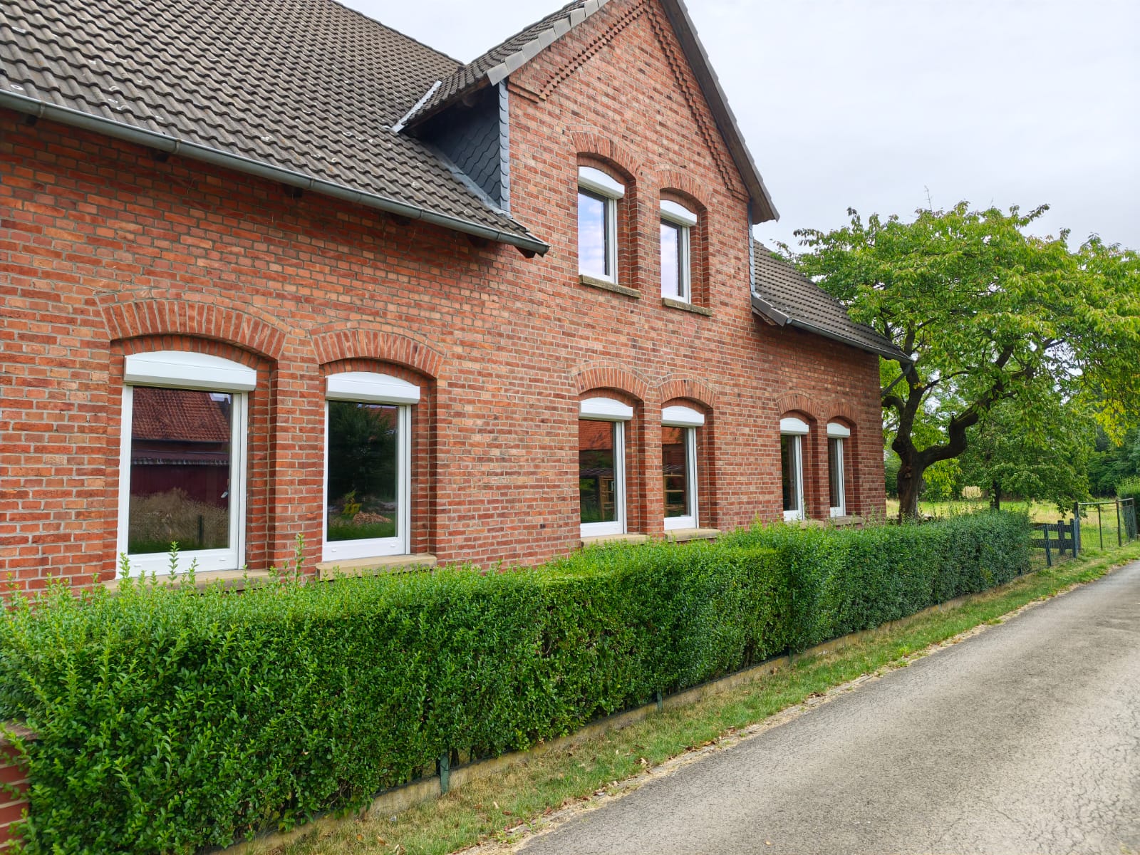 11-Fenster-Woelpinghausen